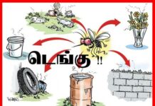 dengue colombo jaffna gampaha