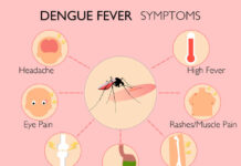 dengue fever jaffna student