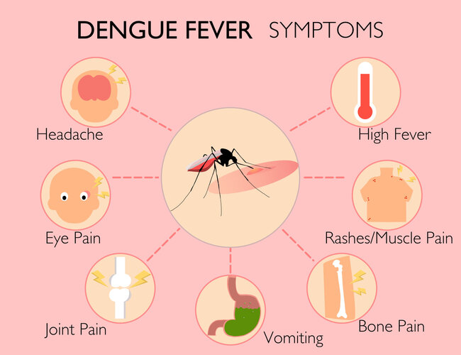 dengue fever jaffna student